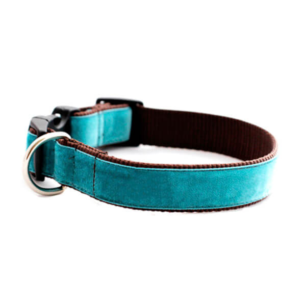 blue velvet dog collar