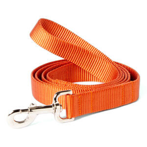 orange dog leashes