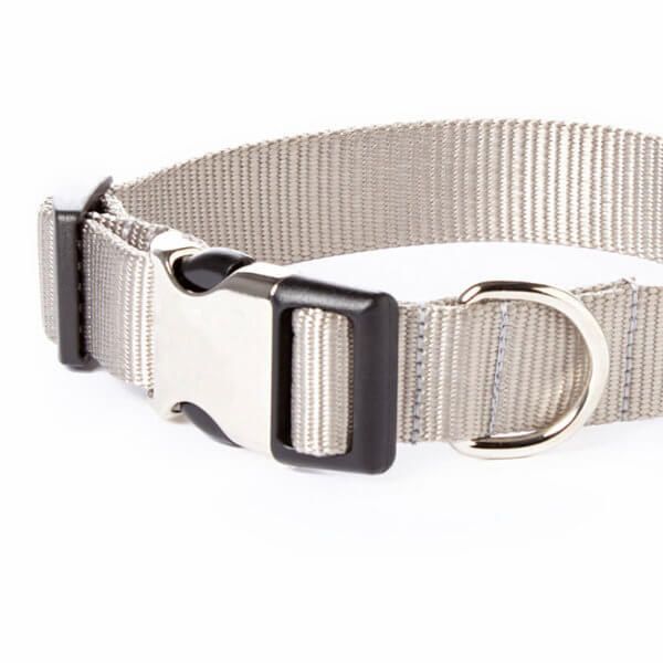 slate dog collar