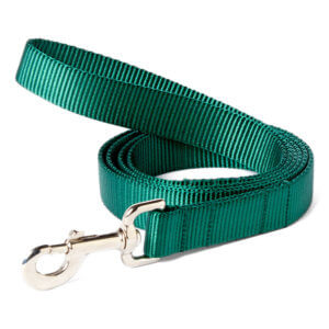 Mimi Green Classic Webbing Personalized Dog Collar  Personalized dog  collars, Designer dog collars, Green dog collar