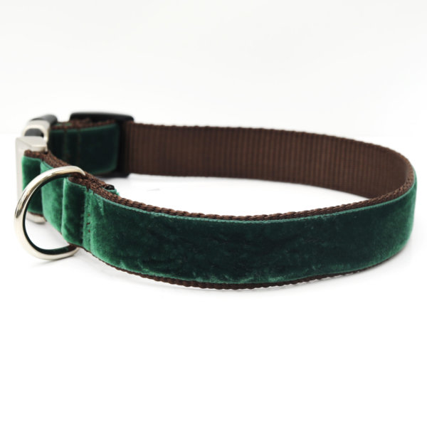 evergreen velvet dog collar