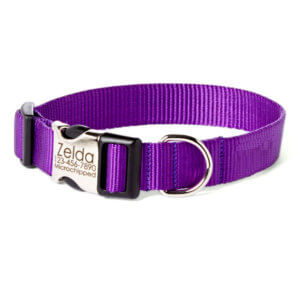 Personalized purple dog clearance collar