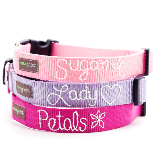 Embroidered Webbing Dog Collars - Multiple Colors