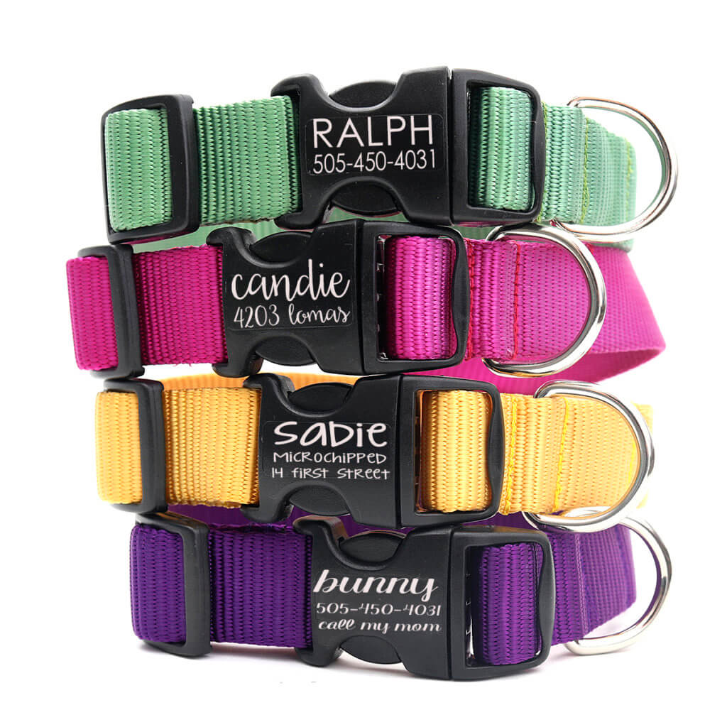 Engraved Personalized Nylon Webbing Dog Collar *27 colors