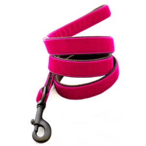 Magenta Velvet Dog Collar Bettie