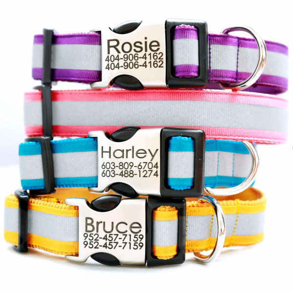 Reflective Dog Collar with Engraved Personalized Buckle