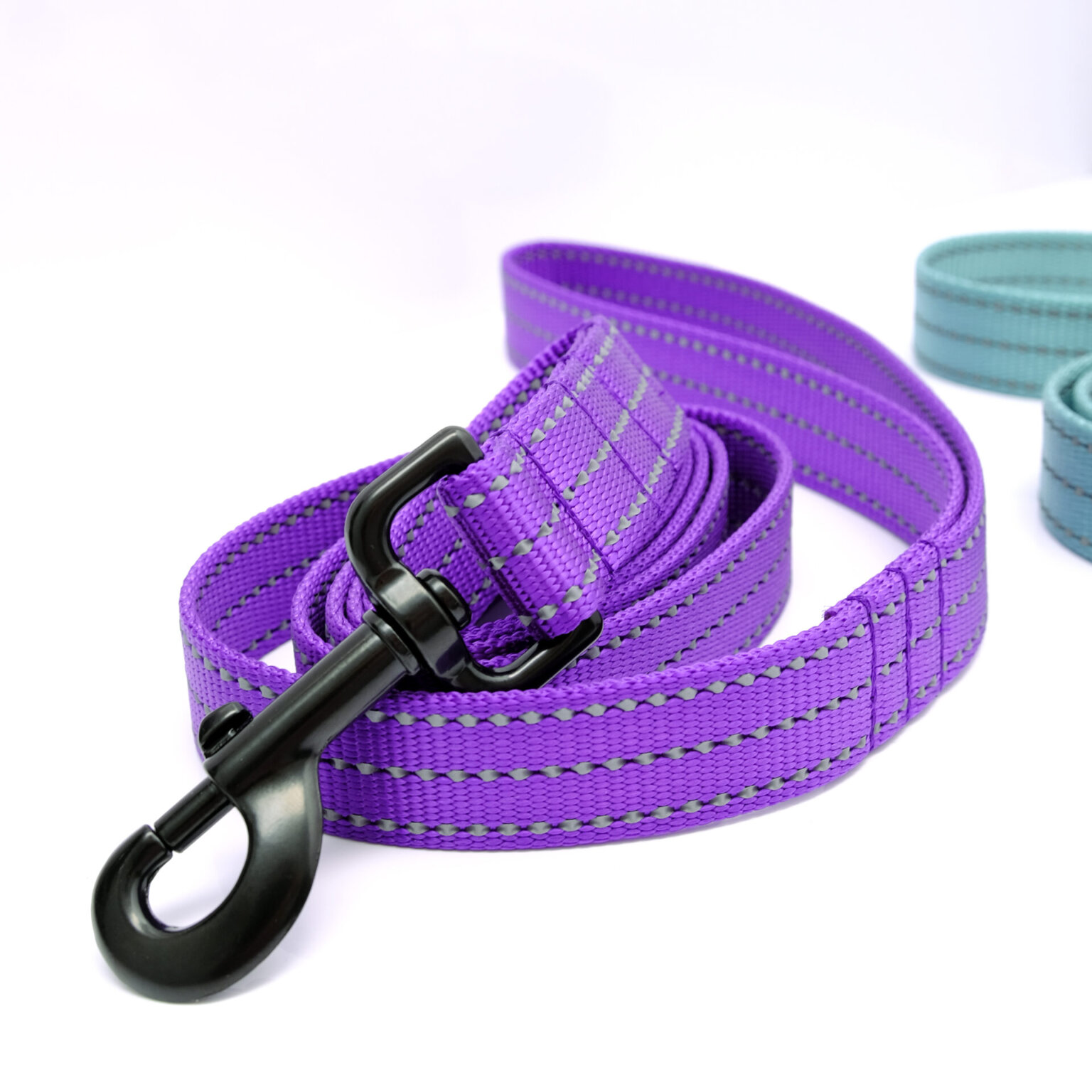 Reflective Nylon Designer Dog Leash