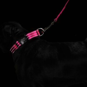 PAWBLEFY Personalized Dog Collars - Reflective Nylon Collar
