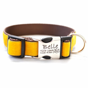 Mustard yellow dog outlet collar