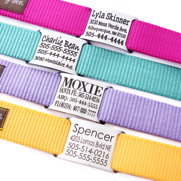 Personalized Martingale Dog Collars with Engraved Nameplate