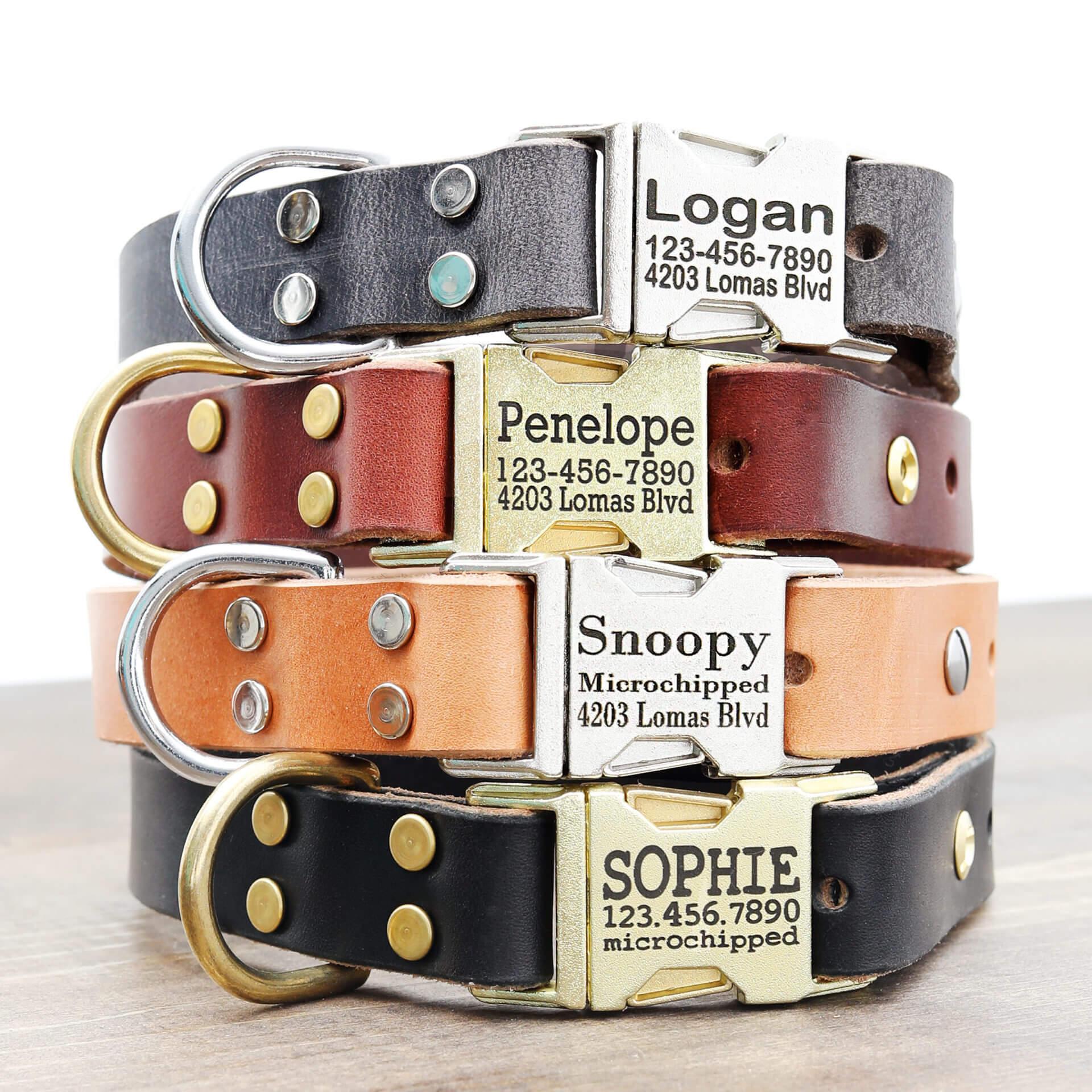 Classic Leather Dog Collar with Metal/Brass Engraved Buckle