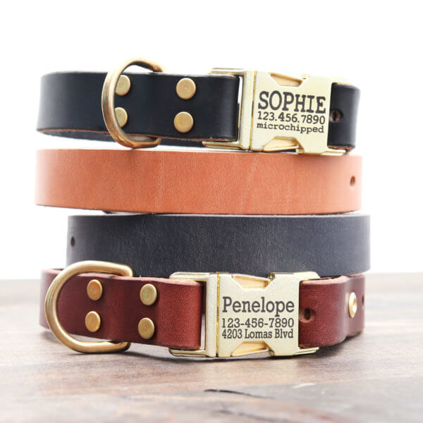 Classic Leather Dog Collar with Metal/Brass Engraved Buckle