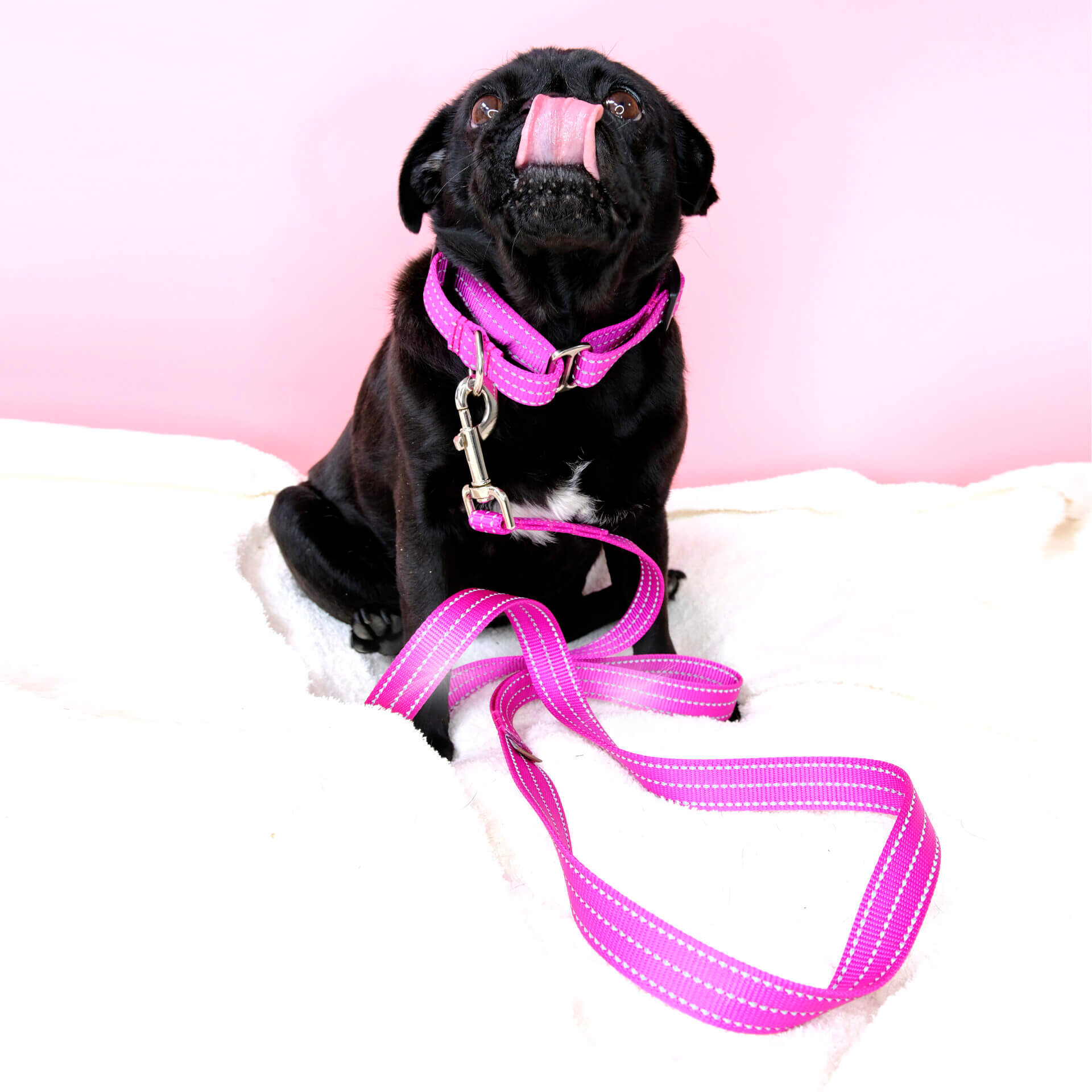Multiple Colour Velvet Personalise Dog Collar Leash Set With 