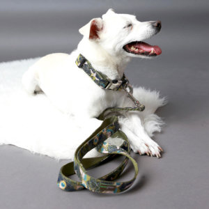 Designer Dog Collar Dark Brown or Camo - Dog Pawnia