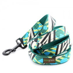 Feather & Bead Southwestern Designer Dog Leash - 'Chama