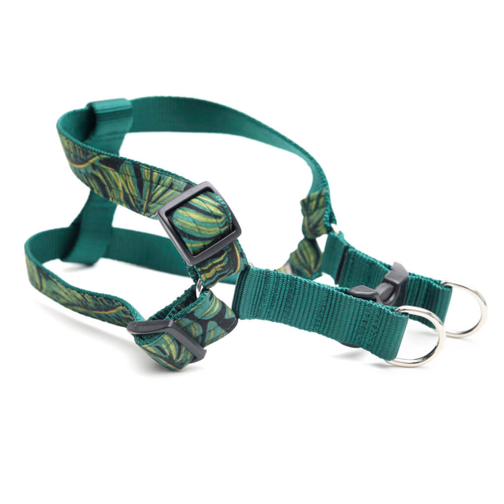 STEP IN Cotton Voile Dog Harness with Optional Engraved Buckle