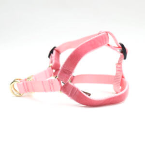 primrose pink velvet dog harness