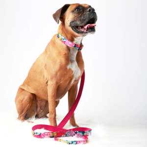 GiGi Bow Tie Dog Collar And Leash Set