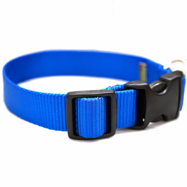 Royal Blue Nylon Webbing Collar with Choice of Buckle