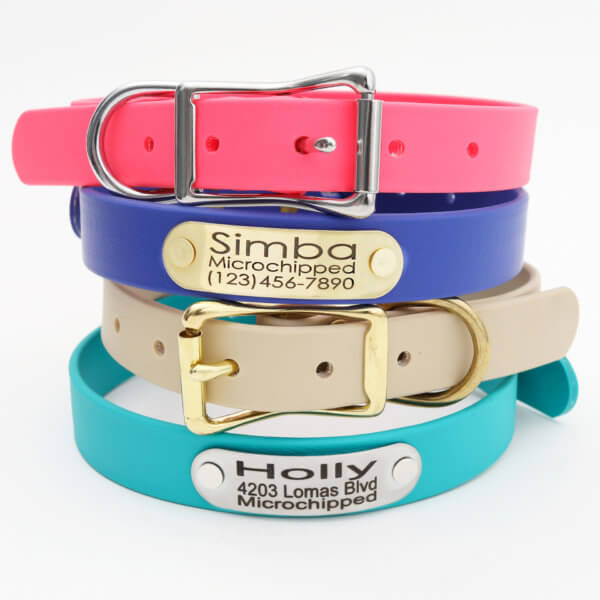 waterproof nameplate dog collar