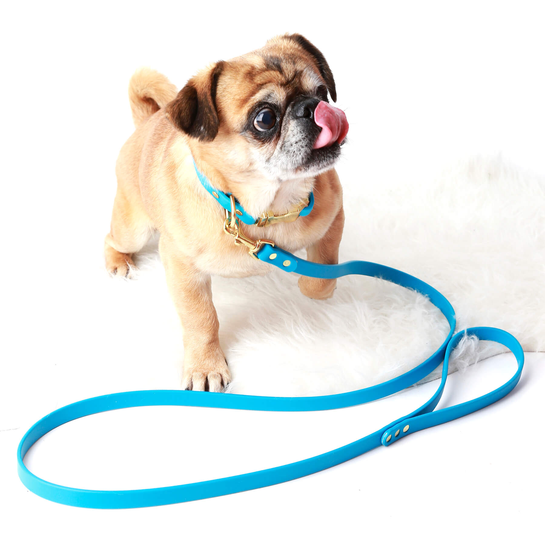 2023 New Design Pet Accessories Waterproof Luxury Leather Dog Cat Collars  PU Classic Printing Custom Designer Dog Collar - China Easy Walk Dog Collar  and Security Pet Collar price