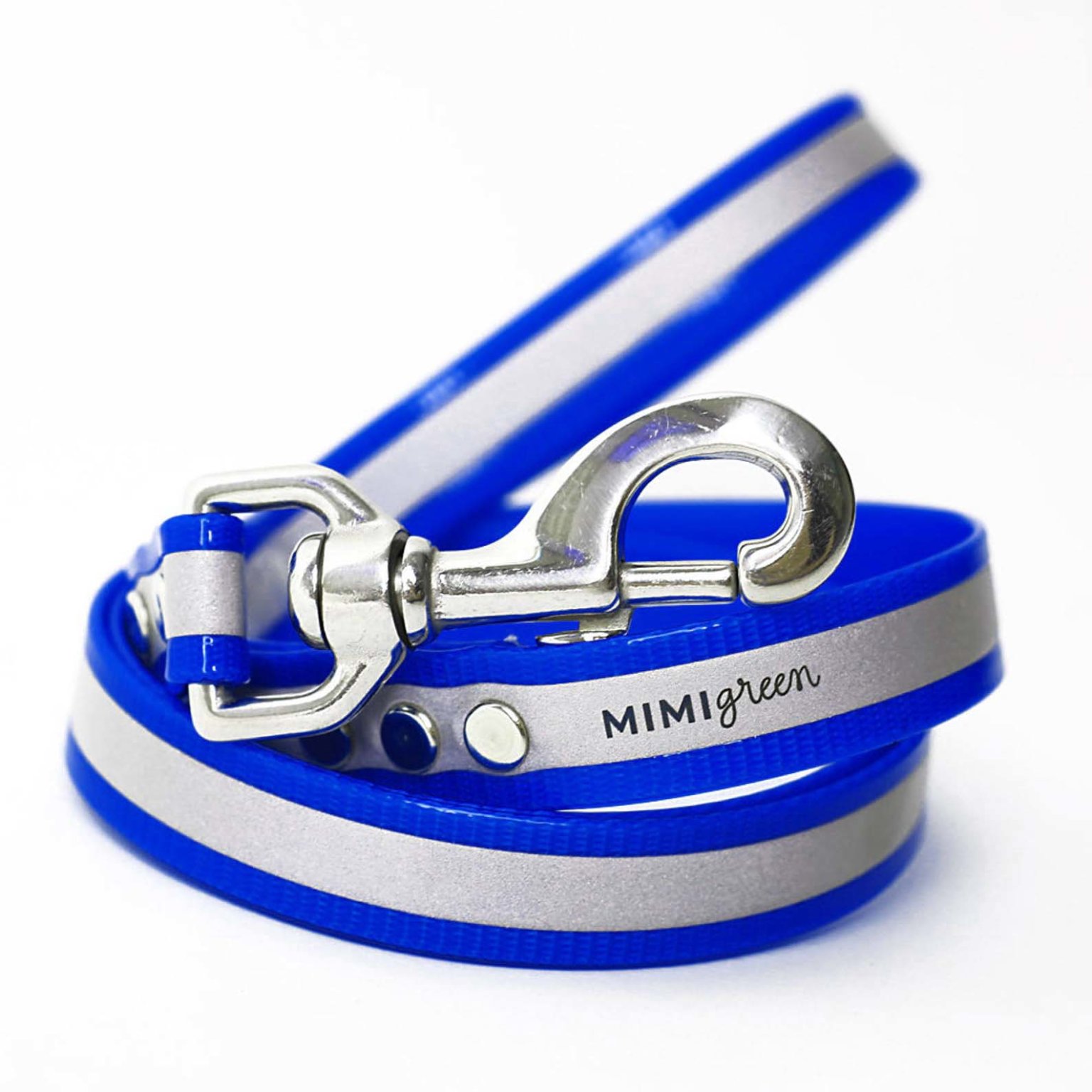 Dog Leash Types: A Guide to 6 Popular Leashes