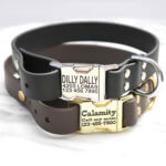 Leather Alternative Waterproof Dog Collar - Personalized & Handmade