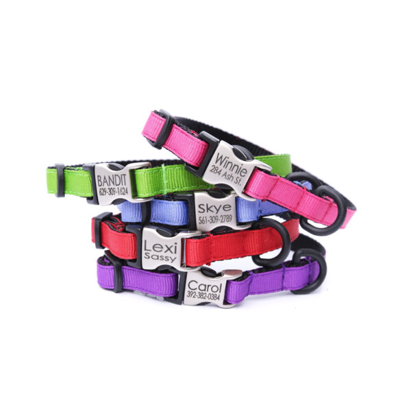 Engraved Buckle Ribbon Small Dog Collars & Cat Collars - Buy Online