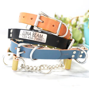 engraved martingale dog collar leather