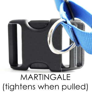 1.5" Plastic + Martingale