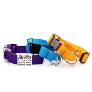  1 inch Wide Martingale Dog Collar and Leash Set