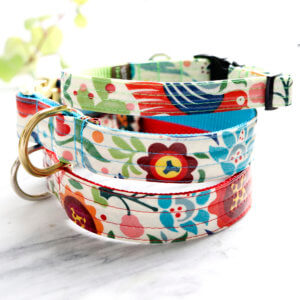 Frida on sale dog collar