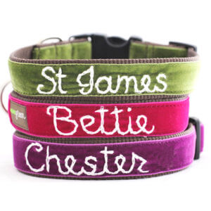 Bettie Personalized Dog Collar