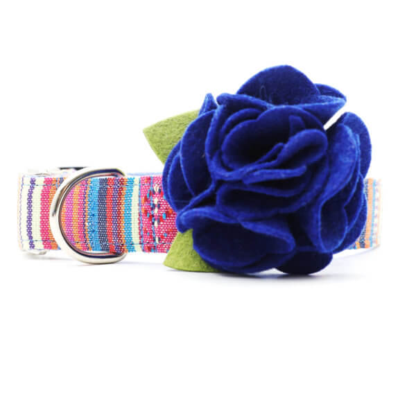 moody blues hydrangea dog collar flower