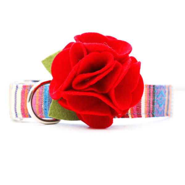 red hydrangea dog collar flower