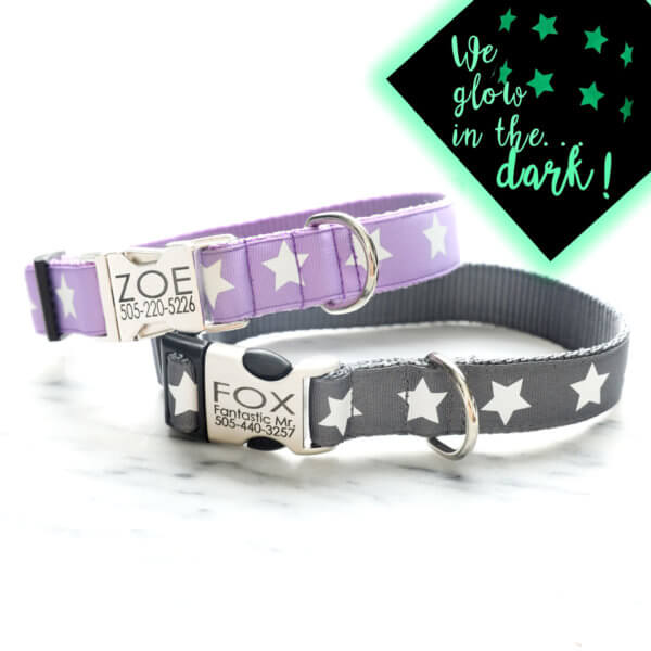 Our Complete List of 33+ Cute Dog Collars