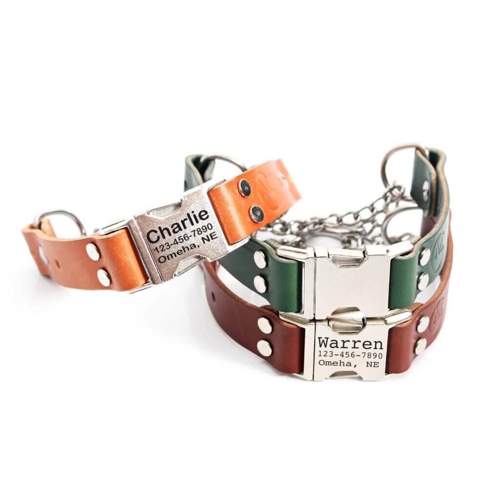 Leather Quick Release Martingale Dog Collar with Engraved Buckle