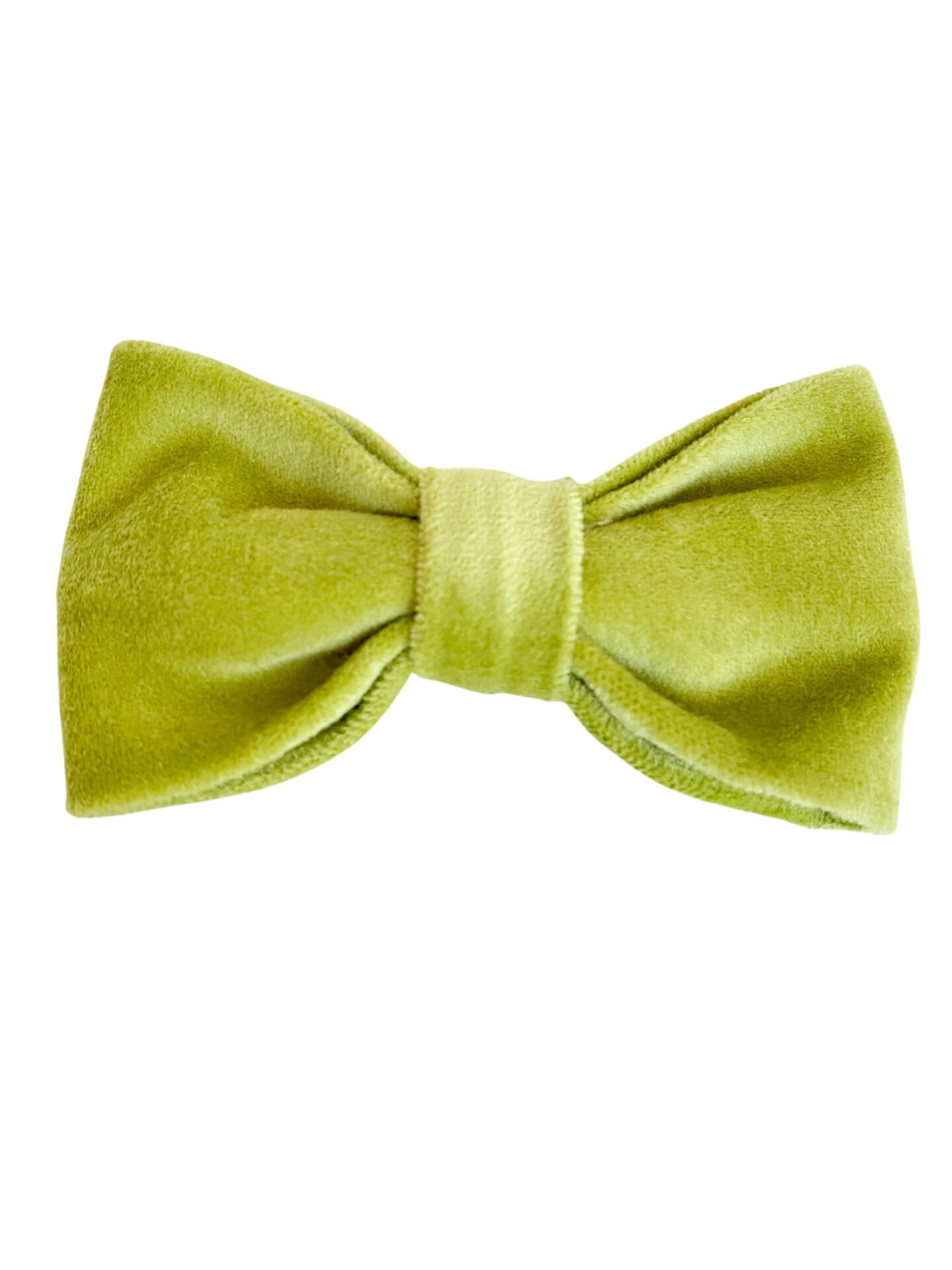 Bonsai Green Bow Tie