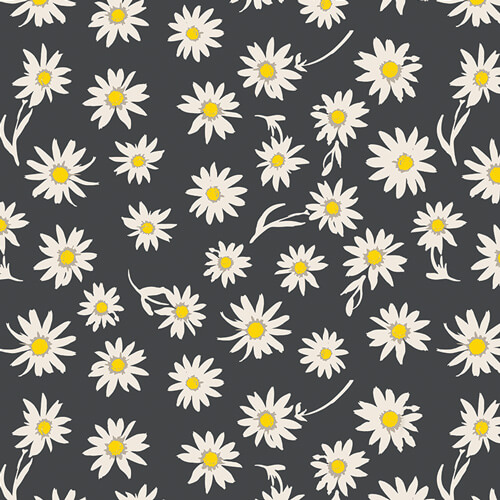 Black Daisy