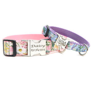 Pink Daisy Dog Collar Girl Cute Dog Collars Daisy Dog 