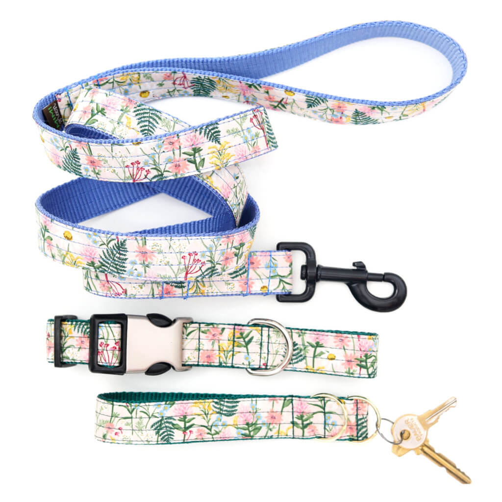 'Daisy' Floral Dog Collar at Mimi Green – Three Styles to Choose From