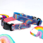 Rainbow Laminated Cotton Dog Collar