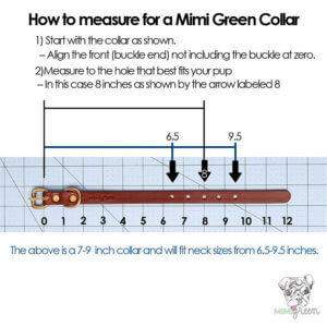 Cat Collar Size Chart + Guide | Mimi Green