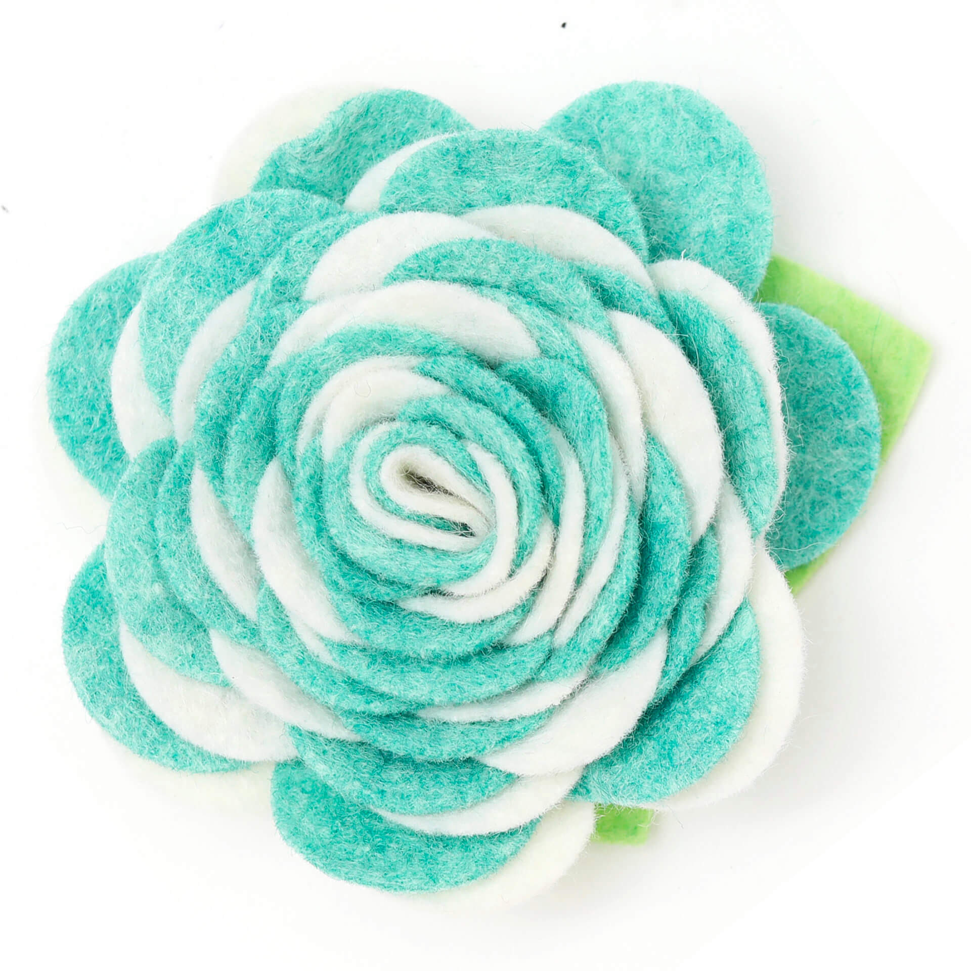 Teal Carnation