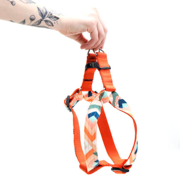 canvas dog harness andrea