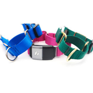 Fi Compatible Nylon Martingale Dog Collar | 27 Color | Engraved