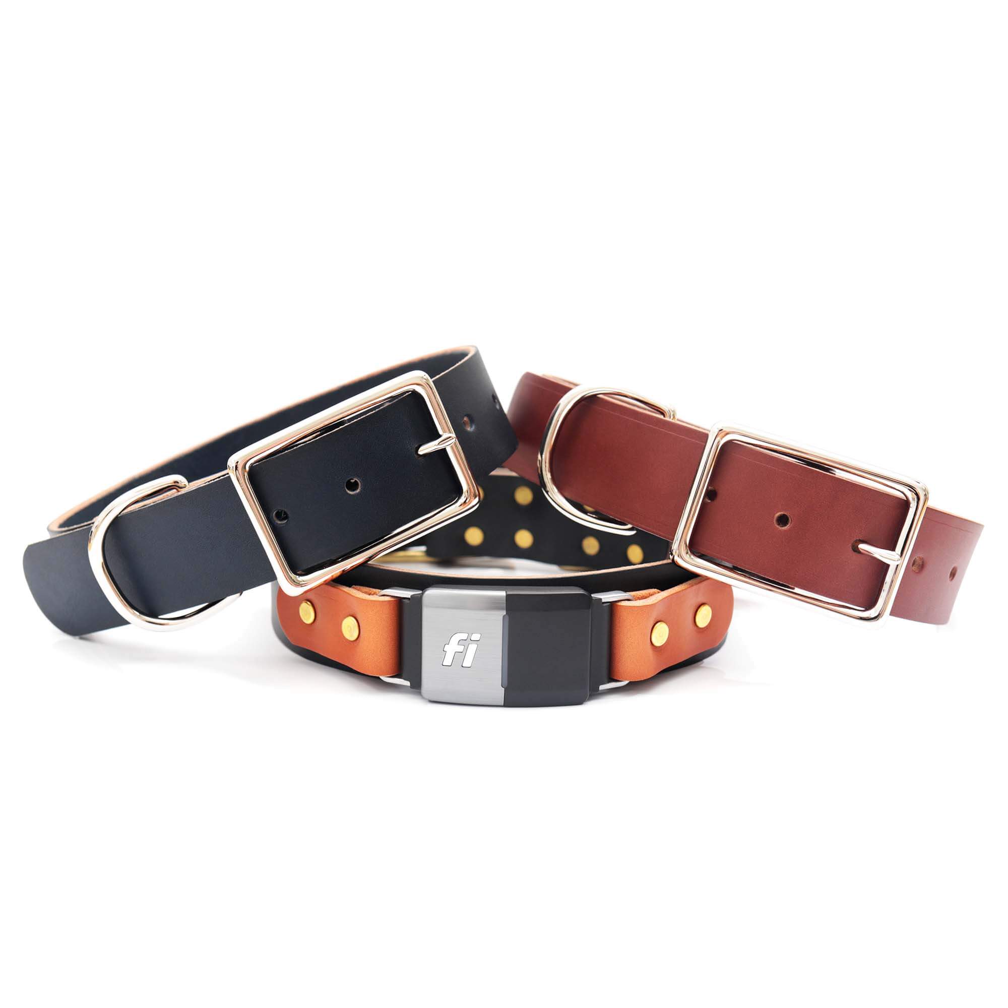 Bridle Leather Nameplate Dog Collar