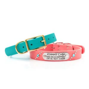 Cute & Super Safe Hardware Buckle Collar with Name for Dogs - Adorable  Personalized Engraving