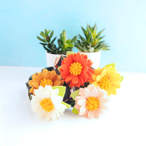 lotus dog collar flower fall colors