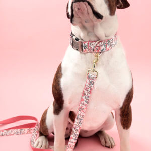Pink Dog Collar Girl Dog Collar Floral Dog Collar Cute 
